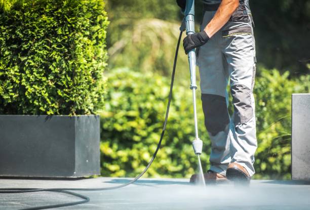 Best Patio and Deck Pressure Washing  in Keewatin, MN
