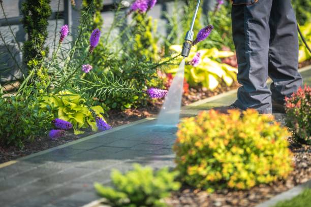 Best Parking Lot and Garage Cleaning  in Keewatin, MN
